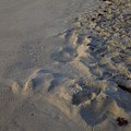 Line in the Sand